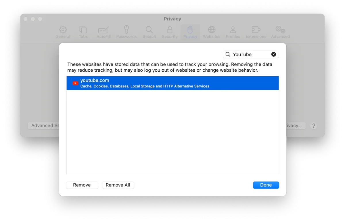 Safari Privacy settings on Mac with Remove All Website Data for YouTube